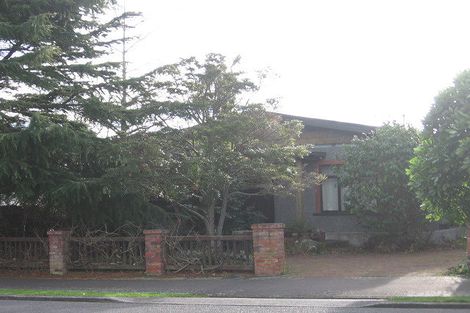 Photo of property in 25 Manson Street, Terrace End, Palmerston North, 4410