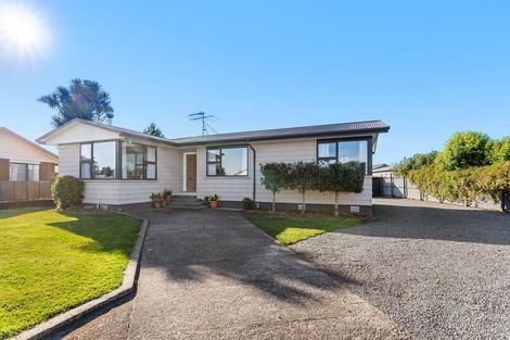 Photo of property in 6 Willow Street, Hampstead, Ashburton, 7700