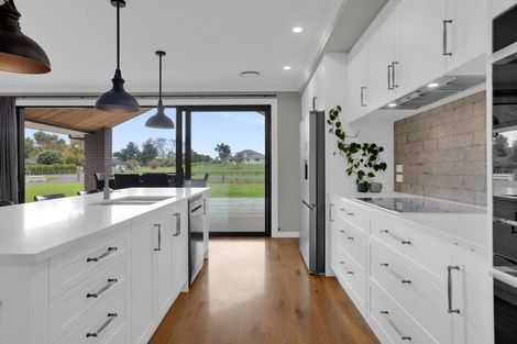 Photo of property in 18 Duck Road, Rotokauri, Hamilton, 3288