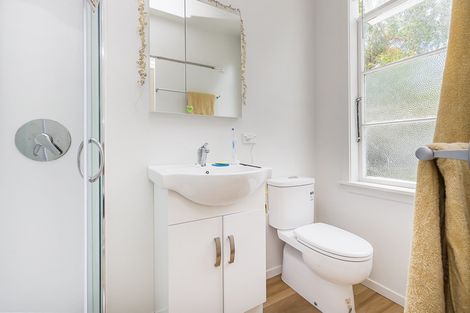 Photo of property in 103 Coromandel Street, Newtown, Wellington, 6021