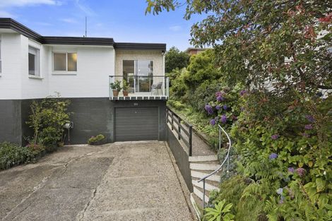 Photo of property in 18d Lawson Street, Roslyn, Dunedin, 9011