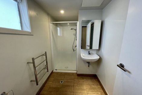 Photo of property in Soho Apartments, 521/74 Taranaki Street, Te Aro, Wellington, 6011