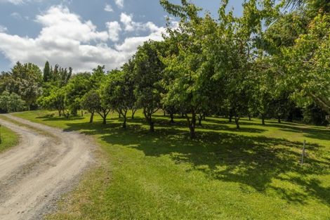 Photo of property in 14r Fasching Lane, Tauriko, Tauranga, 3110
