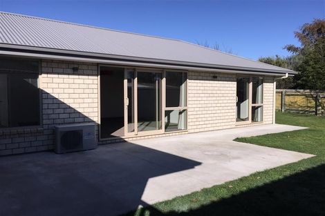 Photo of property in 117b Old Renwick Road, Springlands, Blenheim, 7201