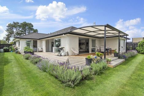 Photo of property in 20 Matawhero Place, Ngaruawahia, Hamilton, 3288