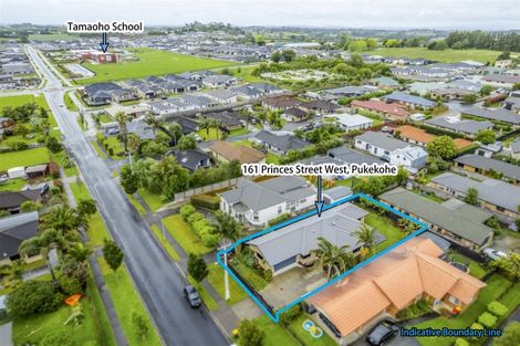 Photo of property in 161 Princes Street West, Pukekohe, 2120