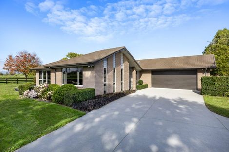 Photo of property in 16 Mill Road, Ohaupo, 3881