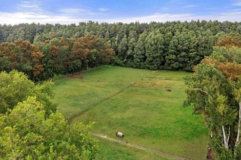 Photo of property in 248a Tauwhare Road, Tamahere, Hamilton, 3283