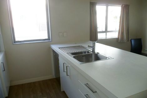 Photo of property in 3 Papawai Terrace, Mount Cook, Wellington, 6021