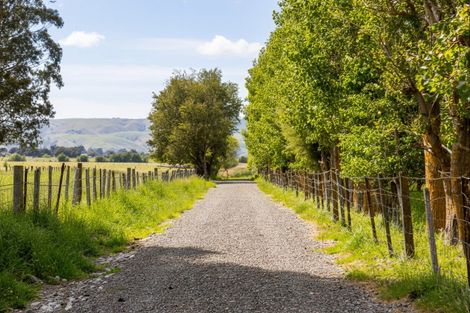 Photo of property in 179 Bidwills Cutting Road, Morison Bush, Greytown, 5794