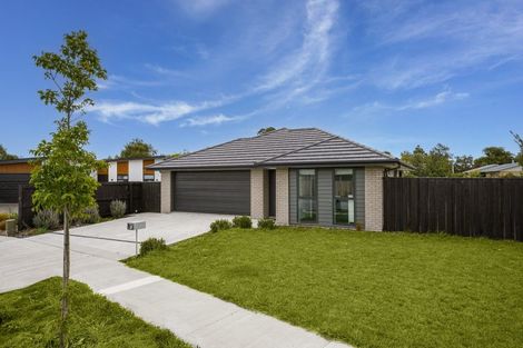 Photo of property in 6 Cleaver Street, Woodend, 7610