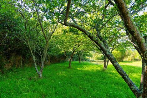 Photo of property in Mount Fyffe Road, Kaikoura Flat, Kaikoura, 7371