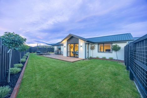 Photo of property in 81 Tiritiri Moana Drive, Pegasus, 7612