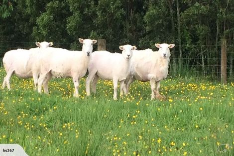 Photo of property in 138 Snodgrass Road, Westport, 7892