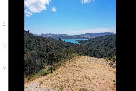 Photo of property in 425 Pakawau-bush Road, Pakawau, Collingwood, 7073