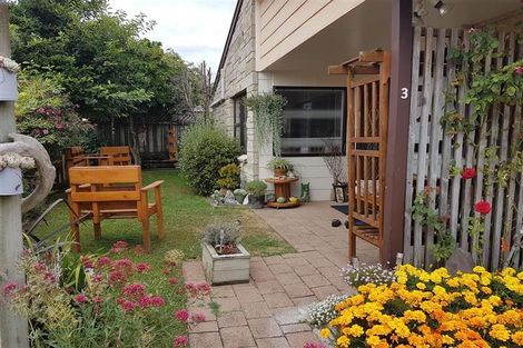 Photo of property in 3/12 Buchanan Street, Matamata, 3400