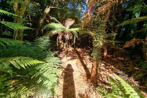 Photo of property in 3454 State Highway 6, Barrytown, Greymouth, 7873