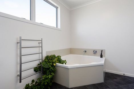 Photo of property in 29 Chiefs Court, Hamilton East, Hamilton, 3216