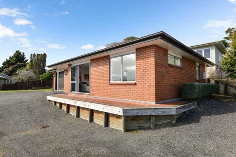 Photo of property in 29a Tawa Street, Melville, Hamilton, 3206