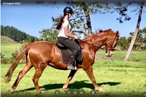 Photo of property in 210c Okauia Springs Road, Okauia, Matamata, 3471