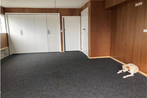 Photo of property in 118 Hataitai Road, Hataitai, Wellington, 6021