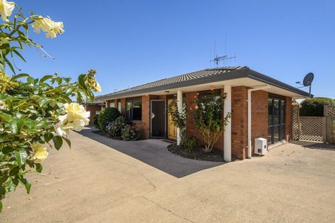 Photo of property in 725c Cameron Road, Tauranga South, Tauranga, 3112