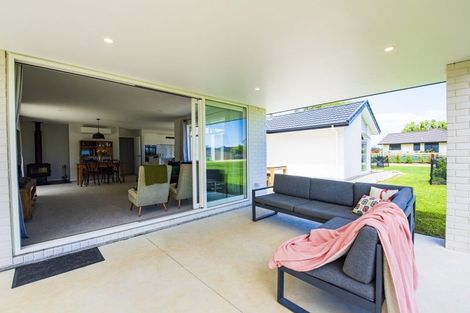 Photo of property in 7 Fairview Place, Levin, 5510