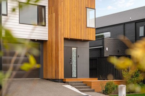 Photo of property in 19 Musselwhite Terrace, Chartwell, Hamilton, 3210