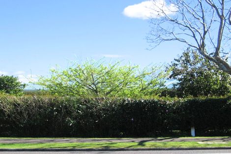 Photo of property in 318 Maungatapu Road, Maungatapu, Tauranga, 3112