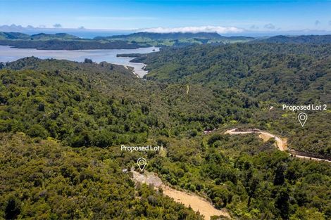Photo of property in 425 Pakawau-bush Road, Pakawau, Collingwood, 7073