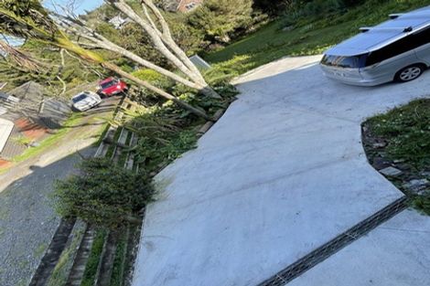 Photo of property in 55 Don Buck Road, Massey, Auckland, 0614