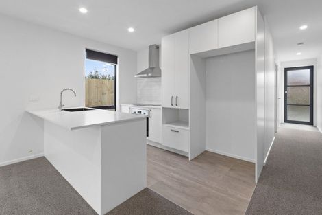 Photo of property in 155u4 Rimu Street, Maeroa, Hamilton, 3200