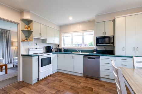 Photo of property in 17 Taylor Street, Geraldine, 7930