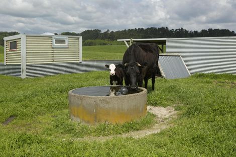 Photo of property in 386 East Road, Reporoa, 3081