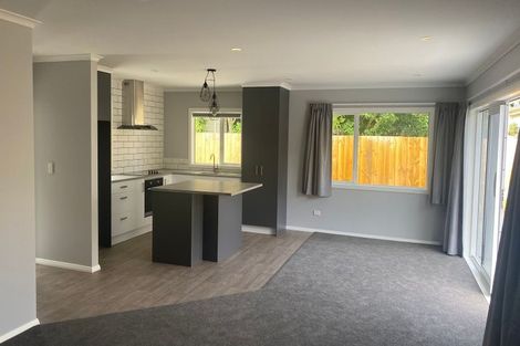 Photo of property in 3a Viscount Place, West End, Palmerston North, 4412