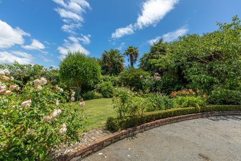 Photo of property in 38 Nelson Street, Waipukurau, 4200