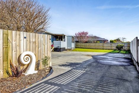 Photo of property in 1 Raunui Crescent, Inglewood, 4330