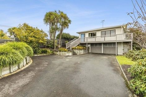 Photo of property in 234 Carrington Street, Vogeltown, New Plymouth, 4310