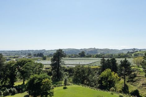 Photo of property in 155 Durham Drive, Havelock North, 4130