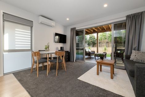 Photo of property in 55 Campbell Road, Mount Maunganui, 3116