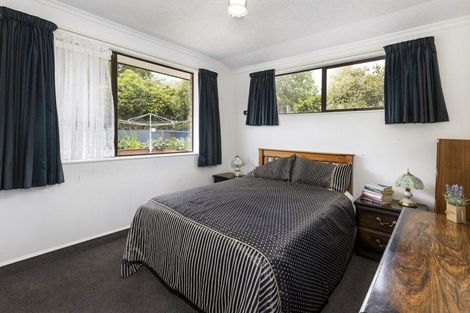 Photo of property in 17 Morrington Terrace, Witherlea, Blenheim, 7201