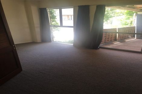 Photo of property in 28b Alison Street, Hamilton Lake, Hamilton, 3204