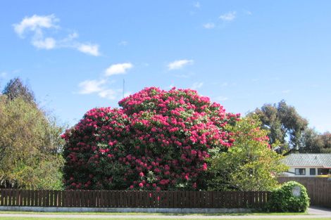 Photo of property in 44 Rotokawa Street, Taupo, 3330