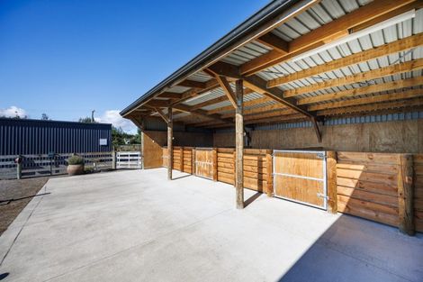 Photo of property in 79 Jackeytown Road, Tiakitahuna, Palmerston North, 4477