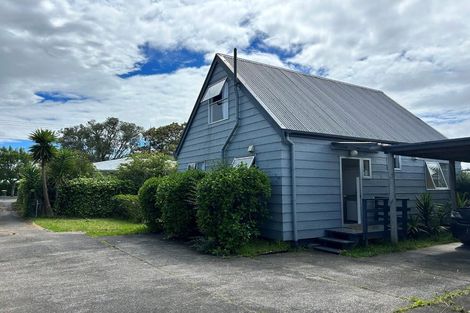 Photo of property in 36 Rimu Street, New Lynn, Auckland, 0600