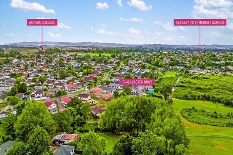 Photo of property in 76 Alabaster Drive, Papatoetoe, Auckland, 2025