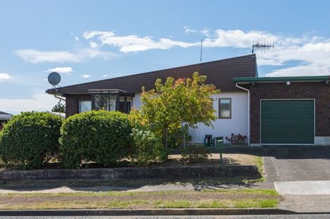 Photo of property in 6a Mount View Place, Waipukurau, 4200