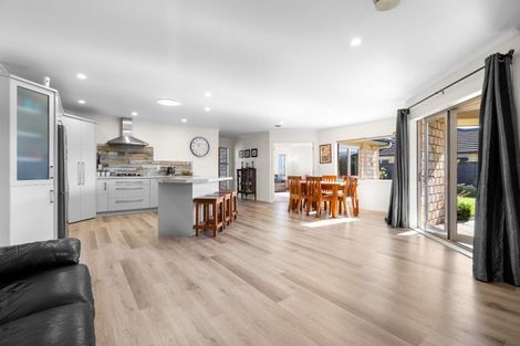 Photo of property in 13 Amberley Place, Flagstaff, Hamilton, 3210