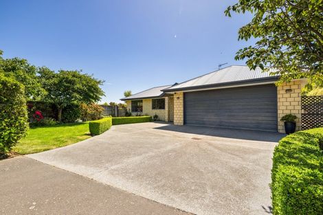 Photo of property in 55 Douglas Road, Amberley, 7410