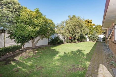 Photo of property in 46a Sunrise Avenue, Mount Maunganui, 3116